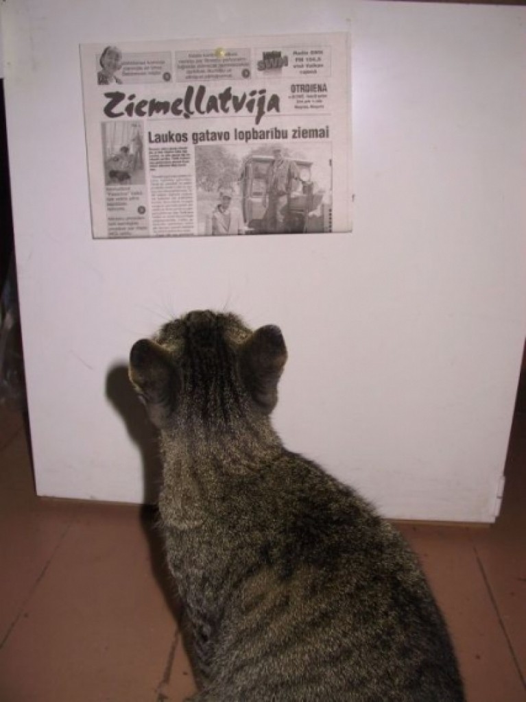 Autors: Sarmīte Ozola