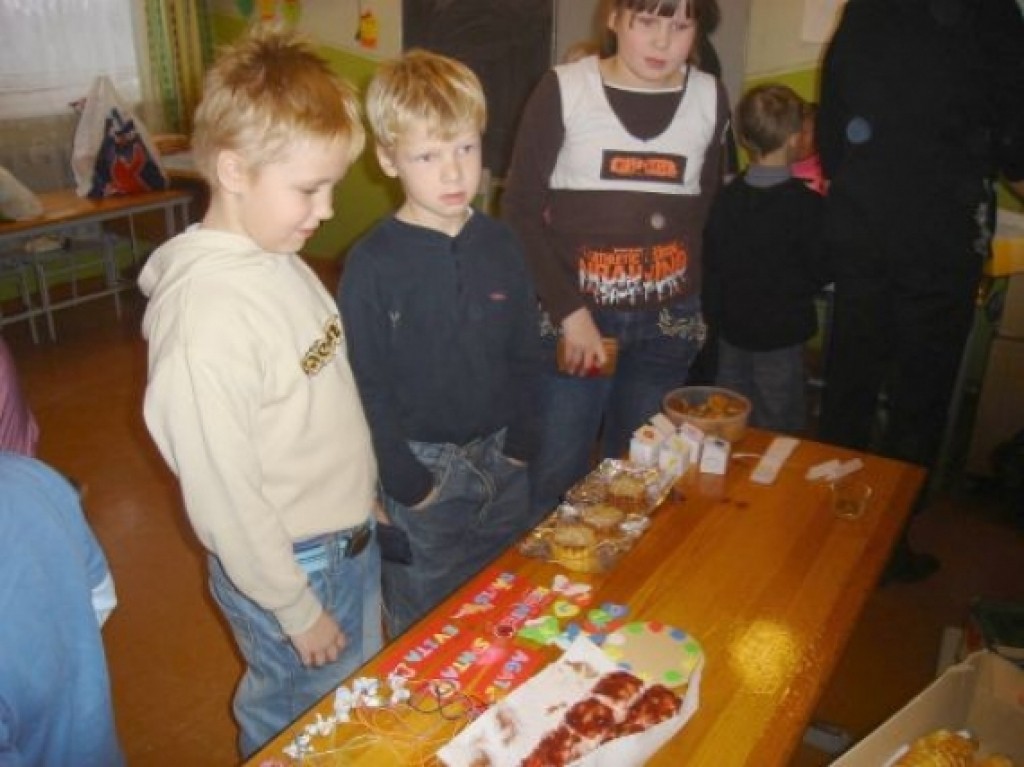 Autors: Sarmīte Ozola