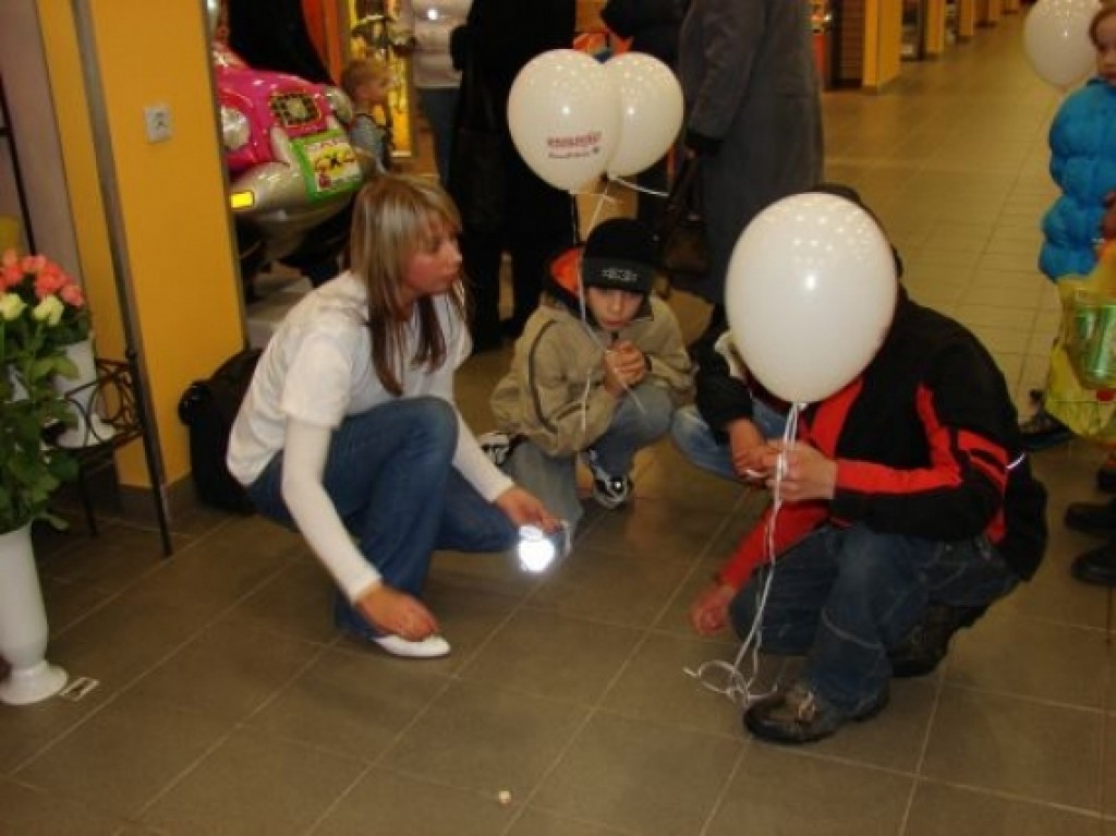 Autors: Sarmīte Ozola