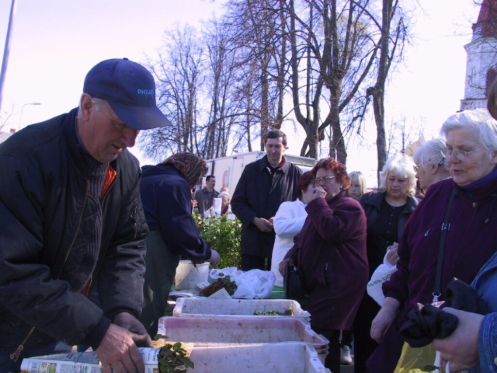 Autors: Sarmīte Ozola