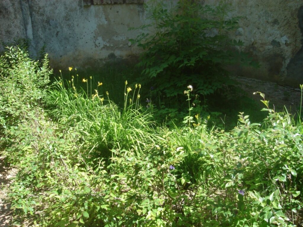 Autors: Sarmīte Ozola