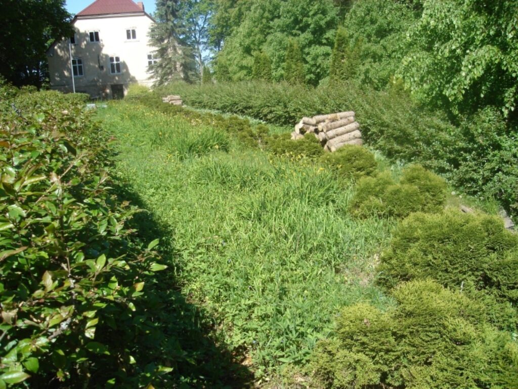 Autors: Sarmīte Ozola