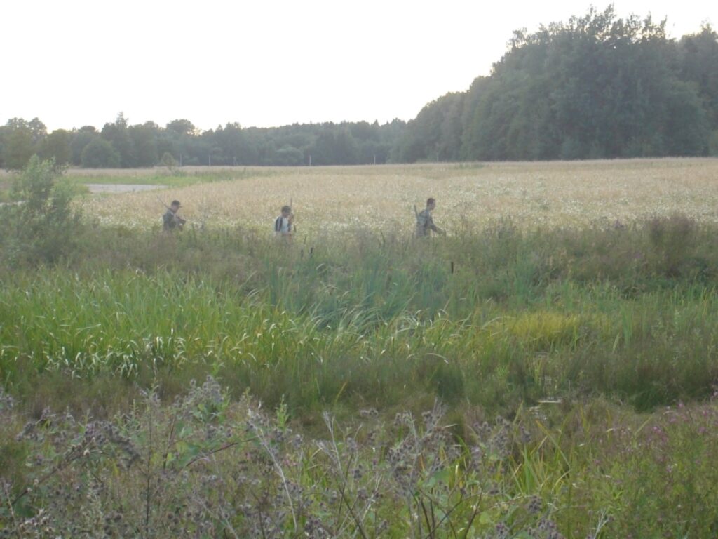 Autors: Sarmīte Ozola