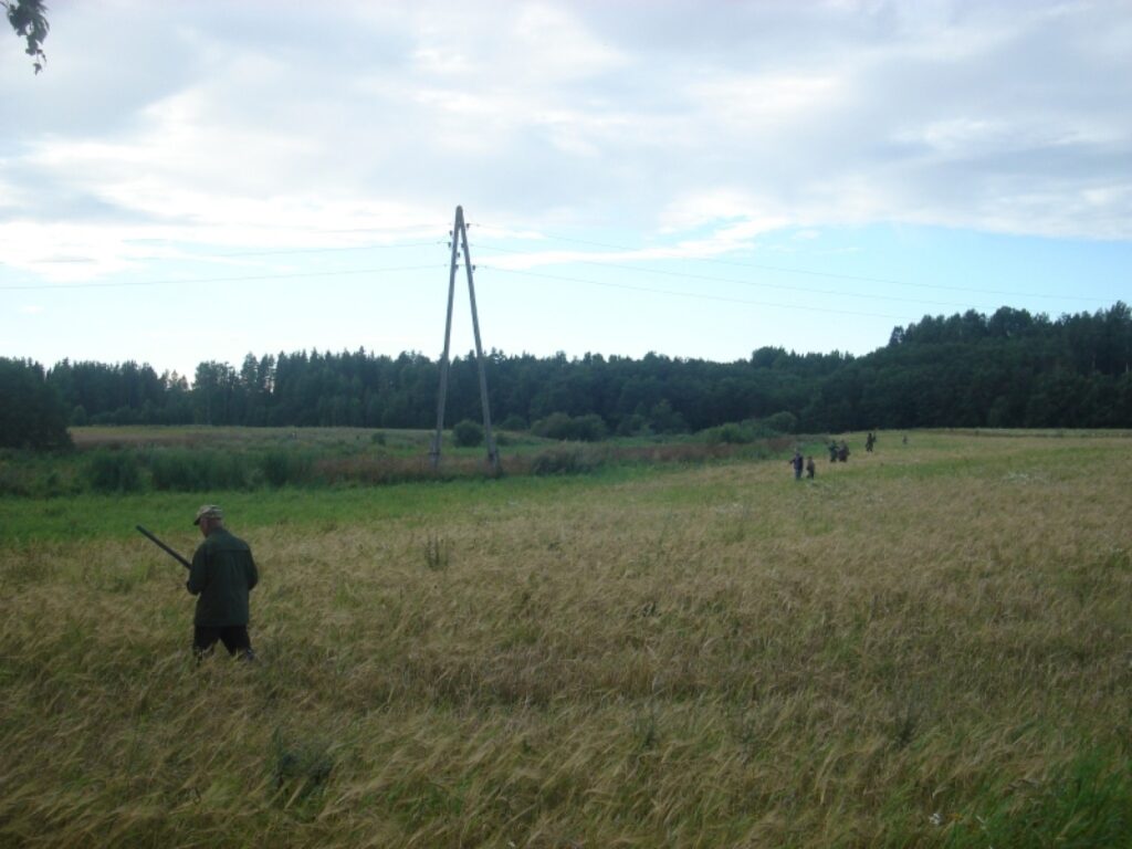 Autors: Sarmīte Ozola