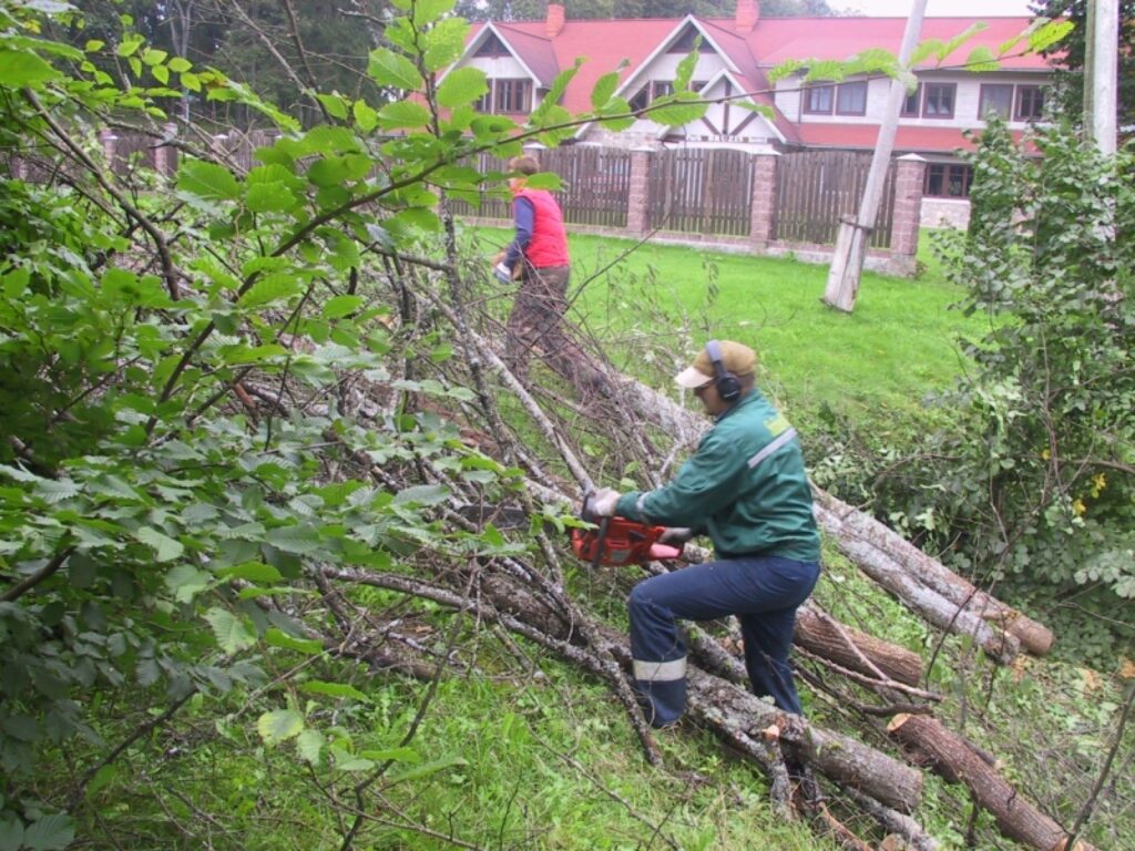 Pēc šodienas talkas Vecais parks, it īpaši pie Parka viesnīcas “Brūzis”, kļuvis daudz skaistāks, jo nozāģēti nokaltušie koki. 
Autors: Sandra Pētersone