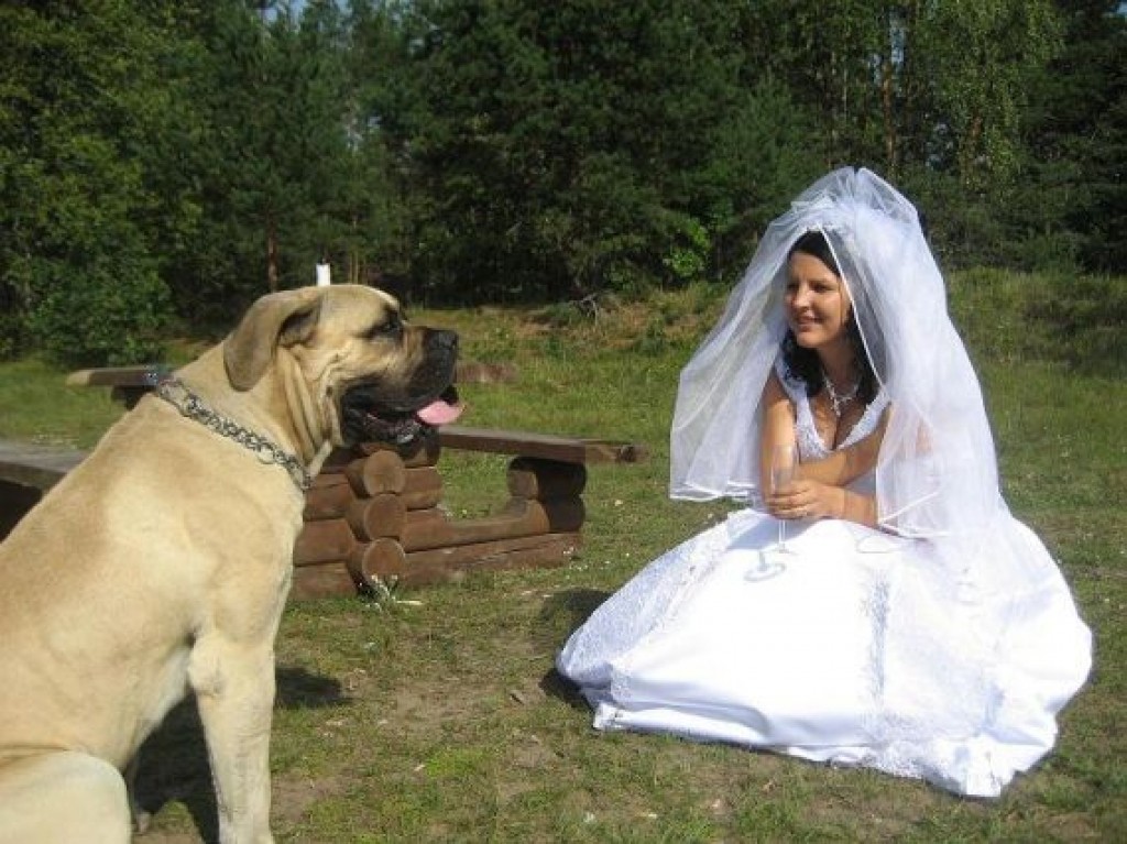 Autors: ziemellatvija .lv