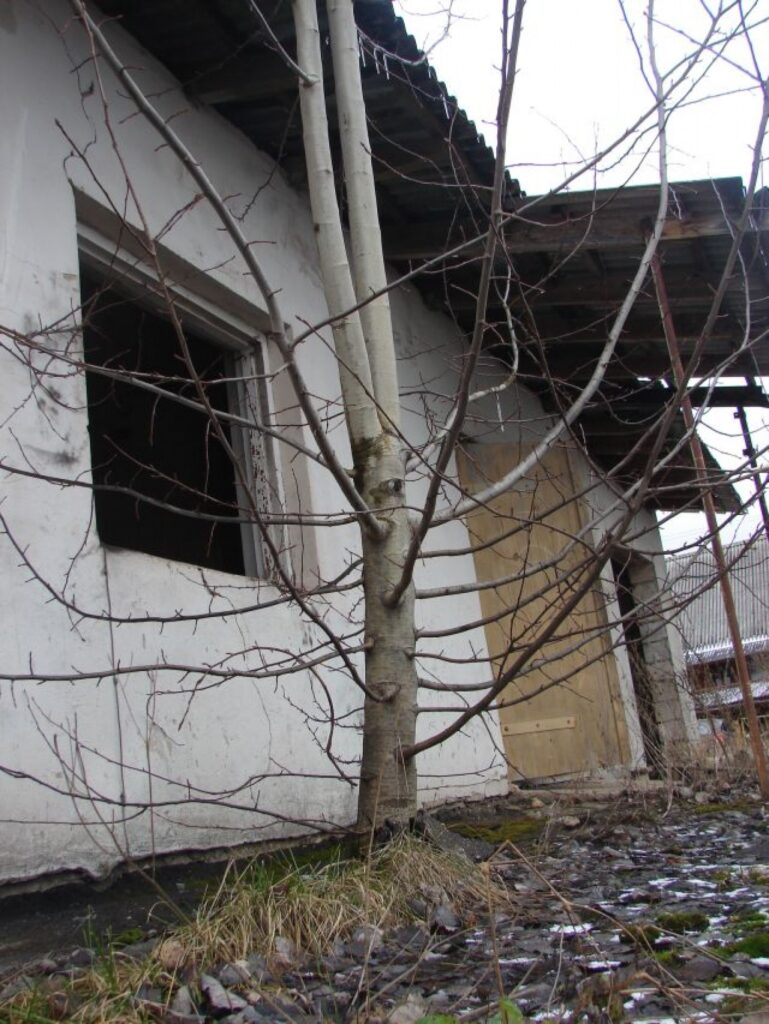Cilvēku darbs šeit nav ilgi manīts, daba pati visu iekārtojusi pa savam.
Autors: Santa Sinka