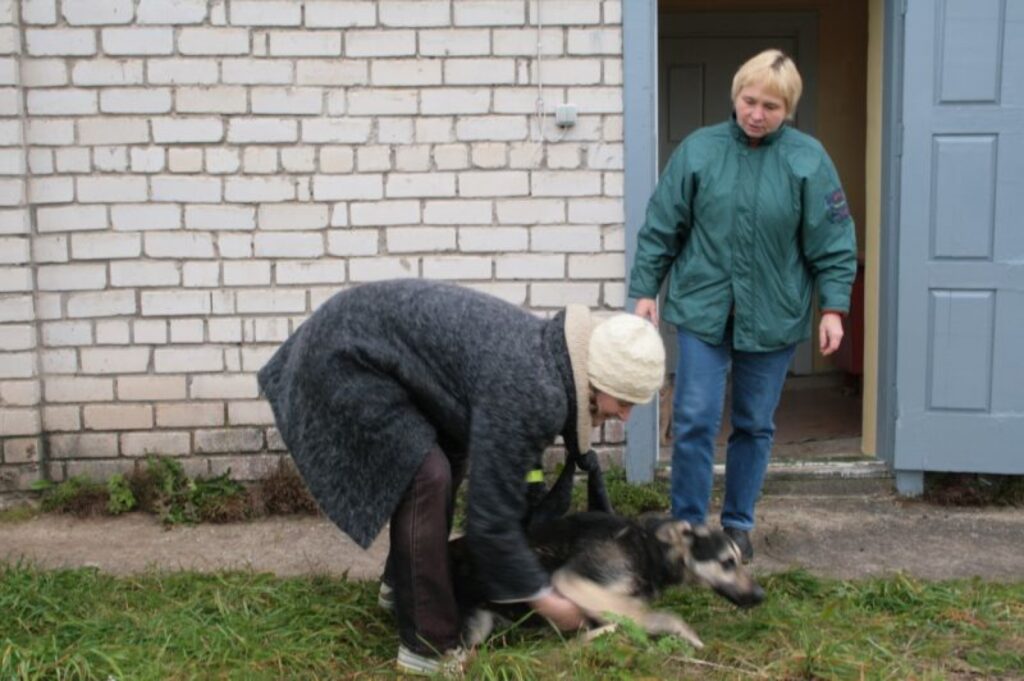 Sanita Vecmane (pa kreisi) no Sedas Valkas dzīvnieku patversmē apciemo no cilvēku nežēlastības izglābto Saulīti, par kuru tagad patversmē rūpējas Rita Luguze. 
Autors: Inga Karpova
