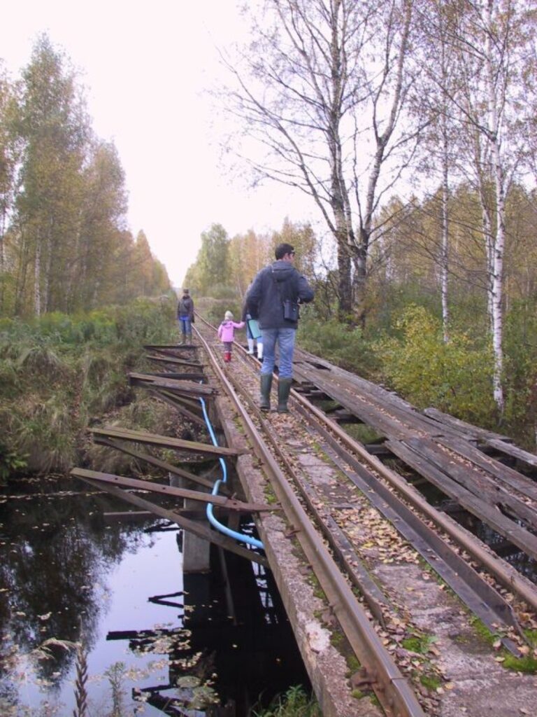 Par kūdras kādreizējo ieguvi šajā purva daļā liecina kūdras transportēšanai izbūvētā šaursliežu dzelzceļa sliedes.