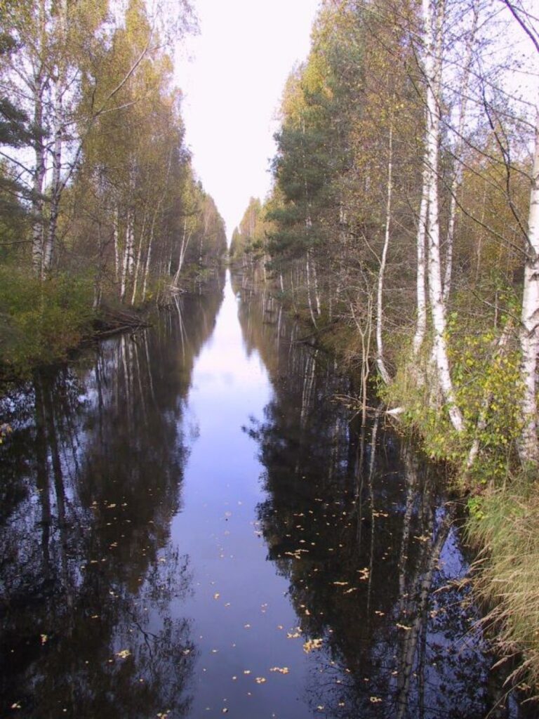Sedas purvā kūdras ieguves rezultātā radusies savdabīga ainava, kuru veido kūdras ieguves lauki un meliorācijas sistēmas.