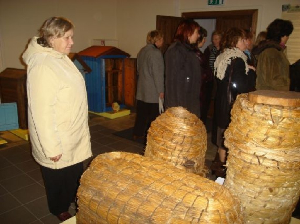 Autors: Sarmīte Ozola