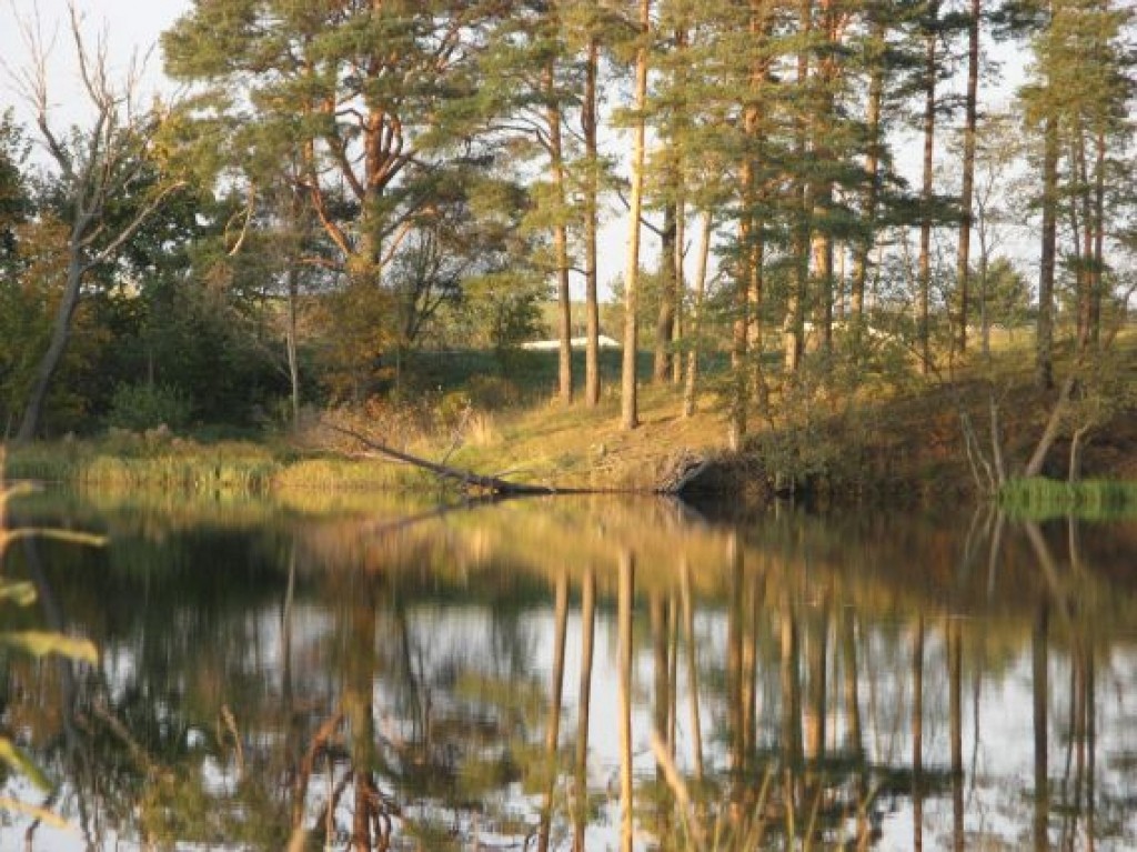 Autors: Maksims Cukānovs