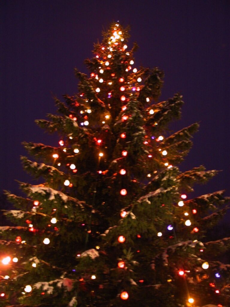 Šogad Ziemassvētku eglīte uz Smilteni atceļoja īpaši!
Autors: Santa Sinka
