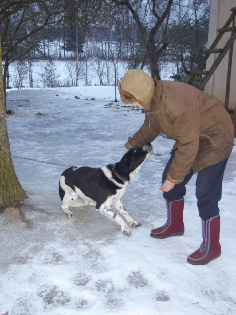 Mīlīgs un paklausīgs suņu puika no Bilskas pagasta “Ezerkalniem” meklē labus saimniekus.
Autors: Santa Sinka
