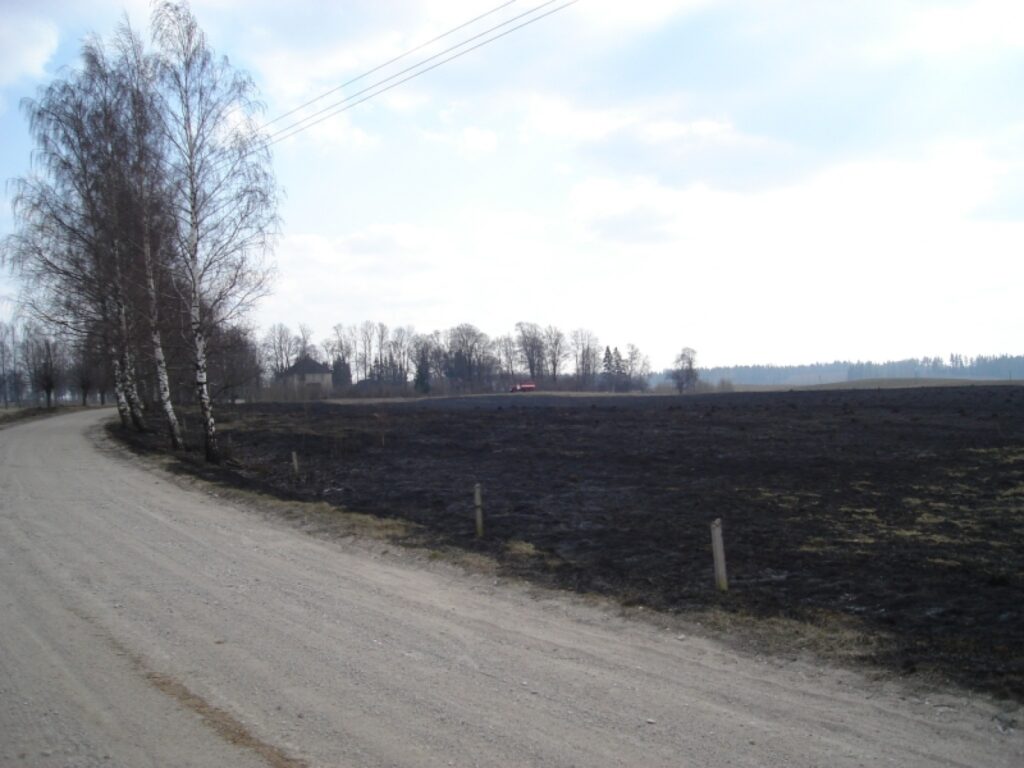Autors: Sarmīte Ozola