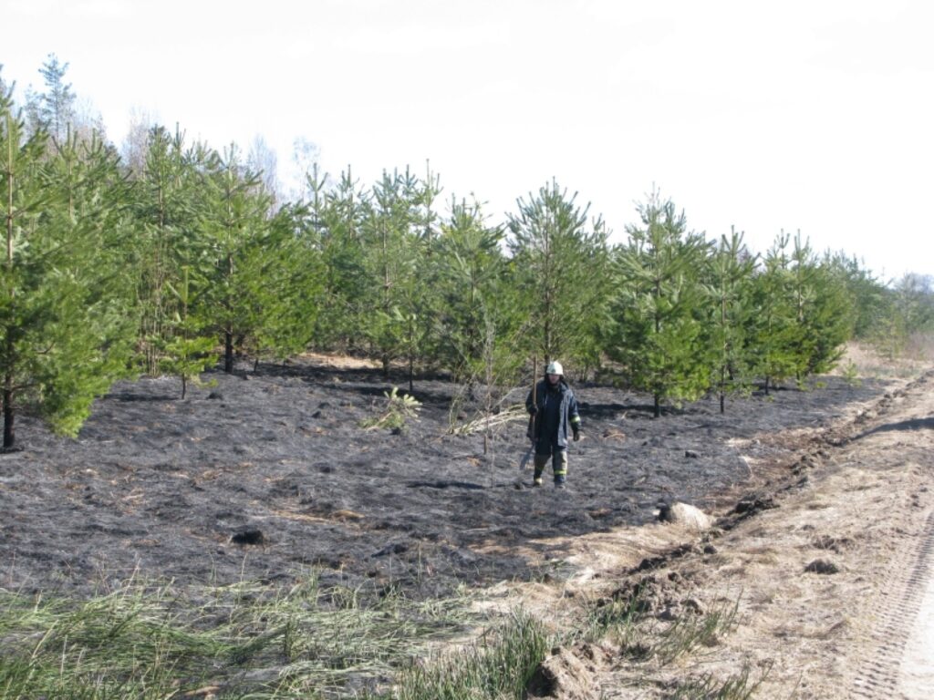 Autors: Sarmīte Ozola