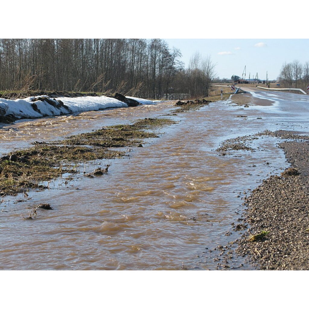Šodien autoceļa Smiltene - Valmiera apkārtne bija pārvērtusies par ūdens plašumiem. Mutuļojošs ūdens par grāvjiem un grāvīšiem bija pārvērtis gan laukus, gan autoceļus.
Autors: Santa Sinka
