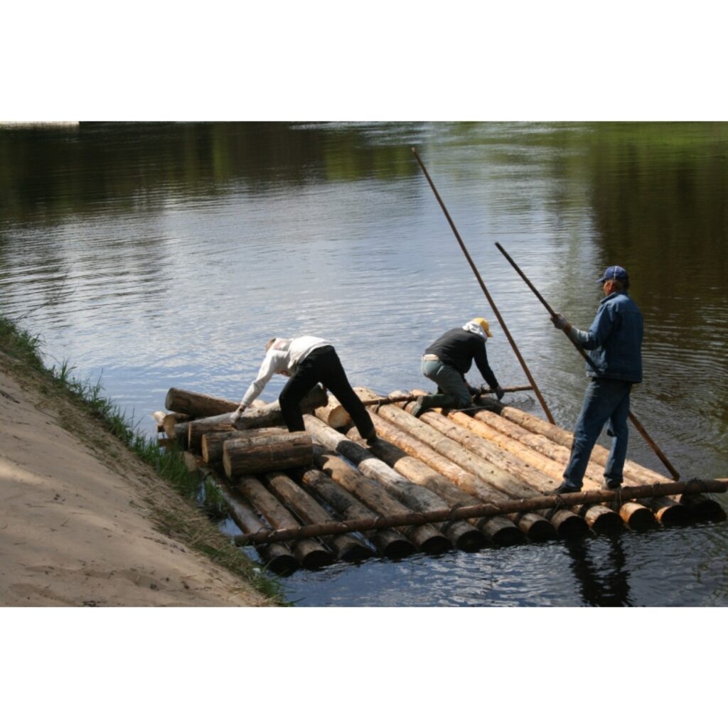 Šodien jau no agra rīta netālu no Spicu tilta rosījās vīri, kuri sēja plostu, lai tas varētu uzsākt savu ceļu pa Gauju. Šogad plosts, tāpat kā pērn, sastāv no 13 plenēm. Tās savukārt būvētas no 12 vai 13 baļķiem.
Autors: Inga Karpova