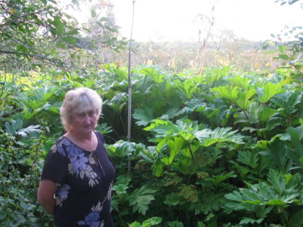 Autors: Sandra Pētersone