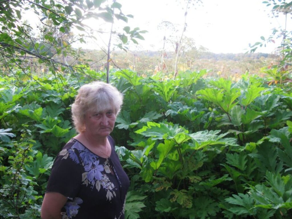 Autors: Sandra Pētersone