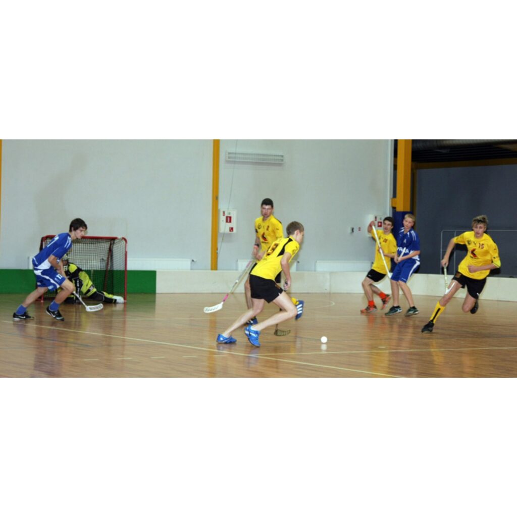 Florbola spēles Valkā nedēļas nogalē - piektdien, sestdien un svētdien. Spēlēja FK "Valka" U 18 grupa, veterāni, U 14 un U 12. Plašāka publikācija būs ceturtdienas, 12. novembra, laikrakstā "Ziemeļlatvija".
Autors: Aldis Dubļāns