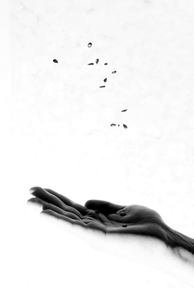 Autors: Viesturs Ēķis