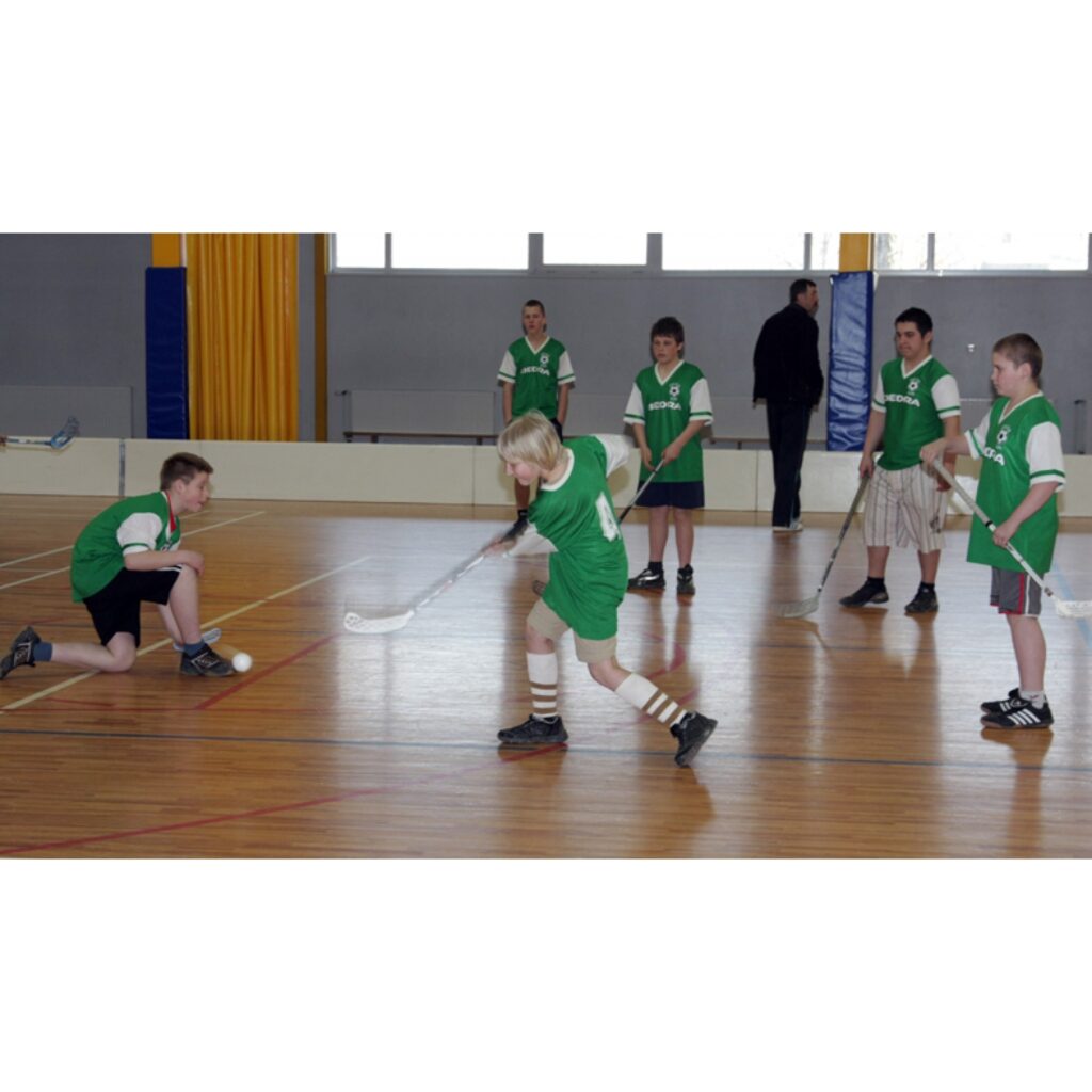  Valkas novada skolu čempionāts. Piedalās florbolisti no abām Valkas skolām, Ērģemes, Kārķiem un Vijciema divās vecuma grupās
Autors: Aldis Dubļāns