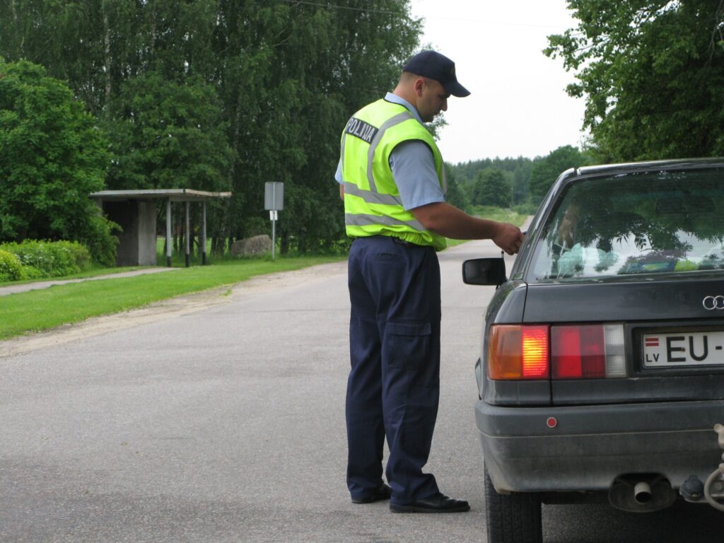 Autors: Sarmīte Ozola