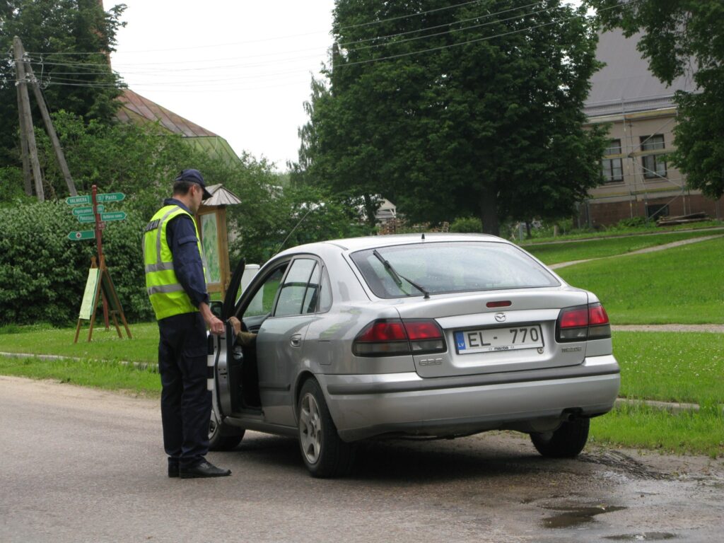 Autors: Sarmīte Ozola