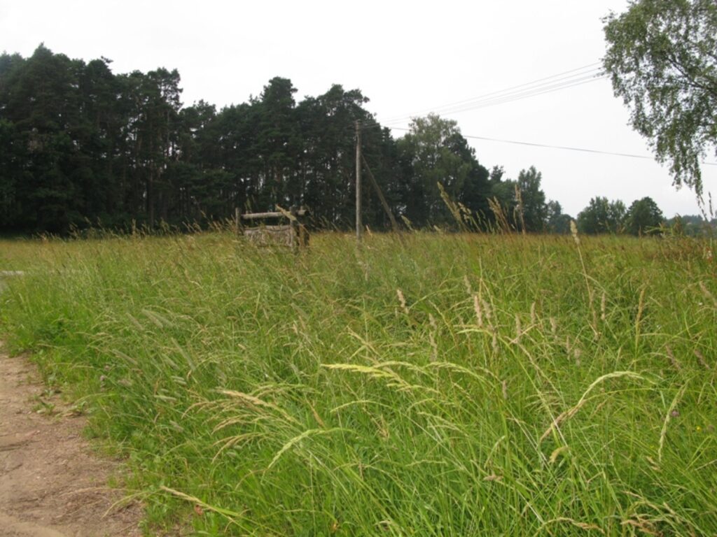 Autors: Baiba Šķērīte