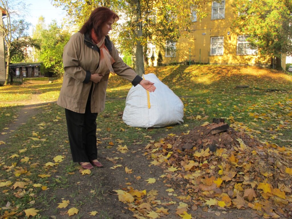 Valkas novada domes Pilsētas teritorijas apsaimniekošanas nodaļas darbu vadītāja Vija Iļda atklājusi, ka netālu no Rīgas ielas 40. nama izbērti krāsns ķieģeļi.
Autors: Aldis Dubļāns