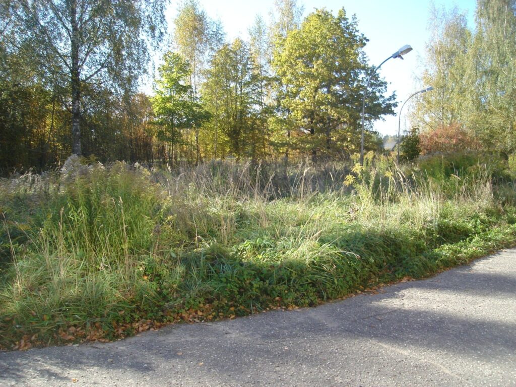 Autors: Sarmīte Ozola