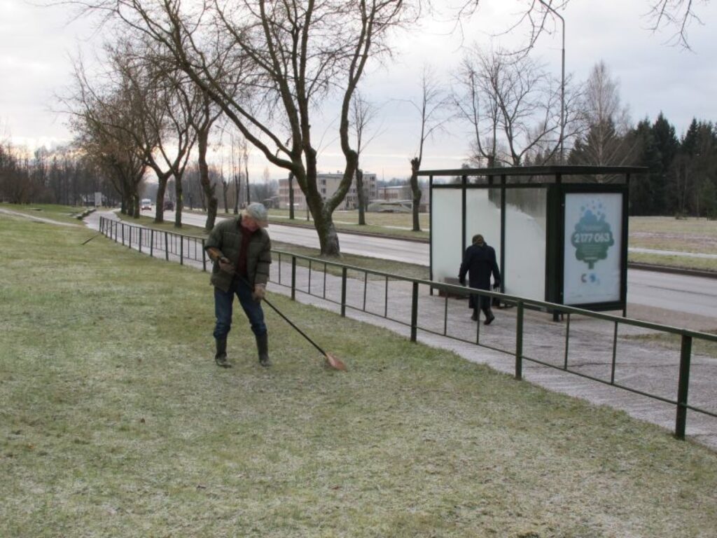 Pirmdienas rītā, kaut ietves klāja sniegs, daži 100 latu stipendiāti centās savākt nokritušās lapas. Lapu vācējs teica, ka tas viņam uzdots. Ietves jātīrot citām strādniecēm.
Autors: Aivars Zilbers