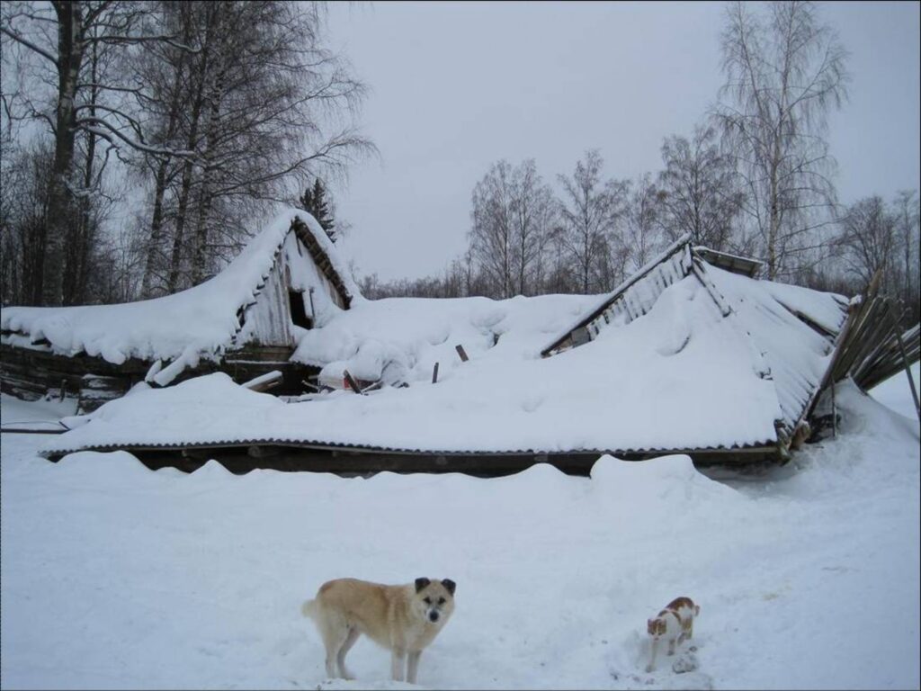 Autors: Oskars Kupše