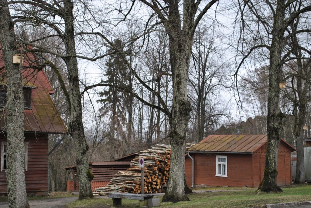 Autors: No personīgā arhīva