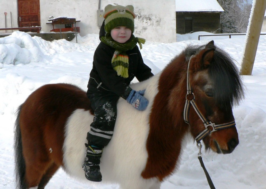 Pegass