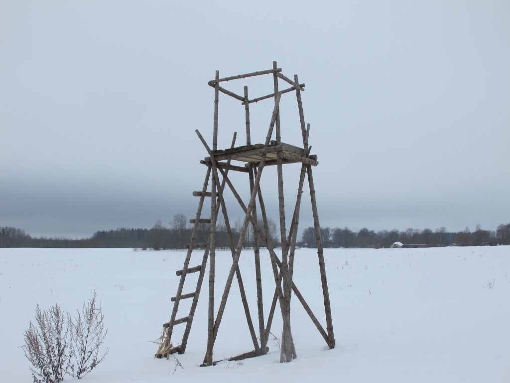 Autors: no arhīva