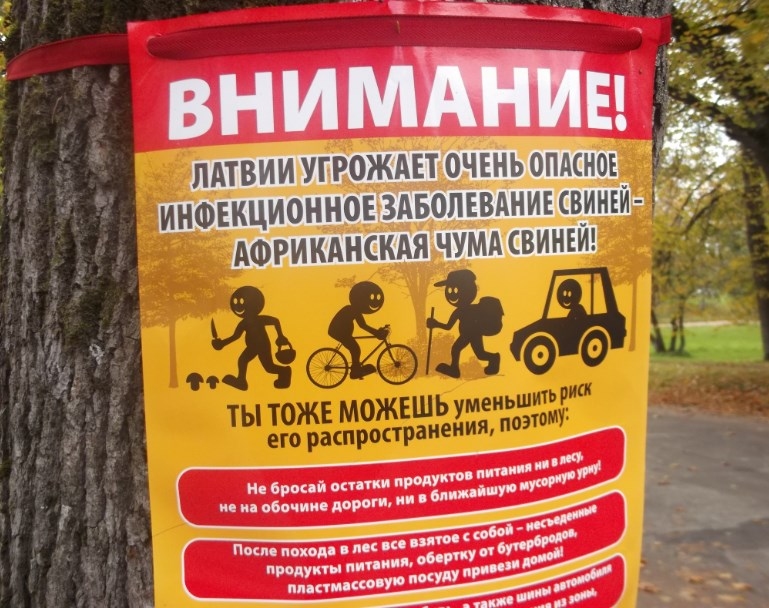 Autors: Sarmīte Ozola