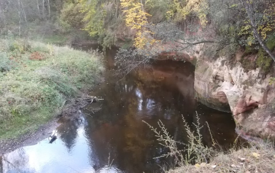 Klinšu spraugās aug  retas paparžu sugas. Leģenda vēstī, ka pie Raganu klintīm sākusies pazemes eja, kas vedusi uz Apes muižu… Vēl tagad  šajā  apkārtnē  reizēm redzamas raganu atstātās slotas… 
Autors: Sarmīte Ozola