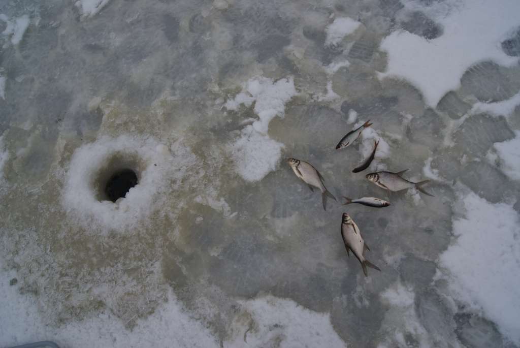 Autors: no Kārķu pagasta arhīva