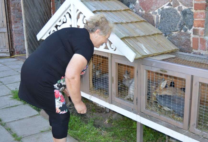 Toties staļļa un trušu mājas iemītnieki mūs sagaida ar neviltotu sajūsmu..Kā nu ne, jo tur speciālās kastītēs jau sagatavoti našķi (āboli un maize), ar kuru palīdzību varam sadraudzēties.
Autors: Sarmīte Ozola