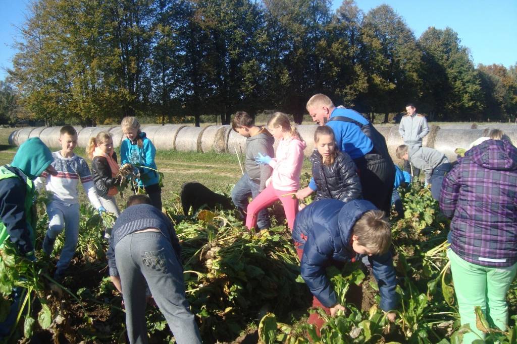 Aluksniesiem.lv raksta attēla aizvietotājs