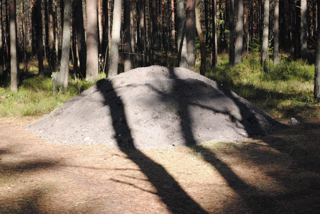 Autors: Sarmīte Ozola