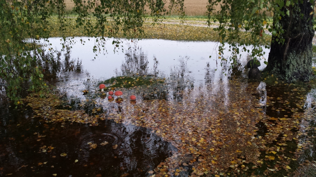 Autors: Ināra Kalniņa