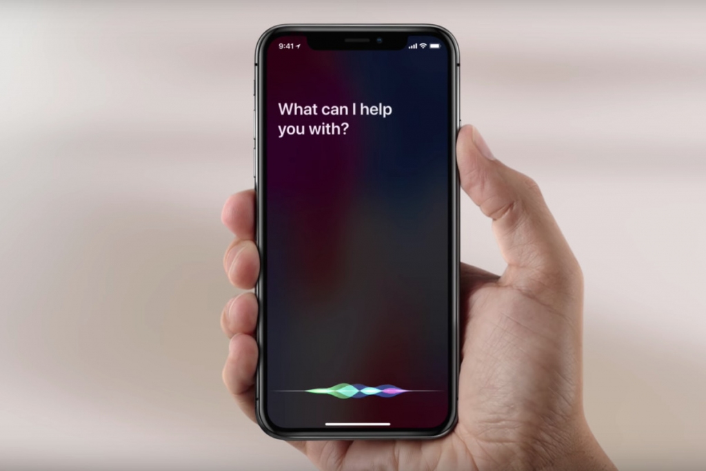 Viszinīgā Siri