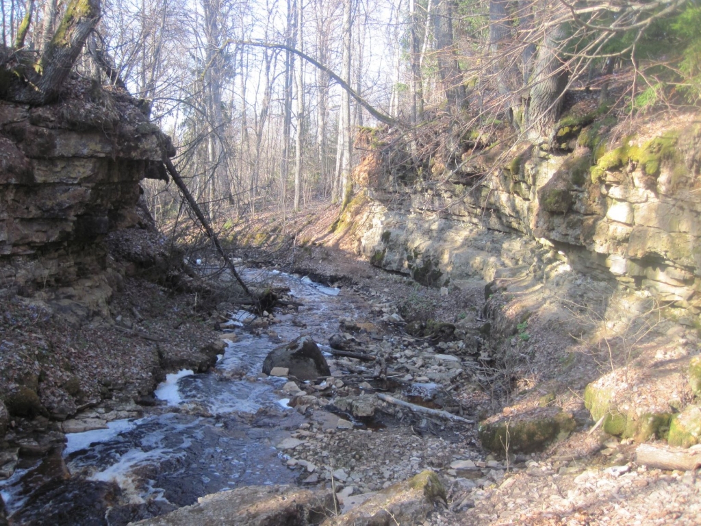 Autors: Rūta Zepa