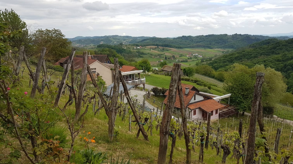 Latvijā esam raduši apmeklēt tās kafejnīcas un restorānus, pie kurām ir ērtāk un ātrāk piekļūt un par nomaļus esošām ēstuvēm visbiežāk nemaz nenojaušam, lai arī cik labas tās būtu. Horvātijā pārliecinājos par pretējo. Pēc žurnālistes Marias Grigorjanas no Maskavas, kura ieprecējusies Horvātijā, rekomendācijas devāmies uz restorānu Vuglec Breg Krapinā. Braucot pa serpentīnu, likās, ka nokļūsim nekurienē. Sasniedzot galamērķi, elpa aizrāvās no ainavas – vīnogu laukiem, kalniem un iekopto teritoriju, kurā atrodas gan viesu nams ar vairākām mājiņām, gan restorāns. Interjers – nekas neparasts, bet ar savu šarmu un izcilu viesmīli, kurš ne vārda nerunāja angliski, taču visi sapratāmies lieliski. Pēdējā rītā atgriezāmies restorānā, kad tas tikko vēra durvis apmeklētājiem. Torīt bijām pirmās, bet iepriekšējā dienā to apmeklēja daudzi, piemēram, pie blakus galdiņa sēdēja kanādieši. Viesmīlis uz restorāna rēķina pasniedza Zagrebas vīna darītavas dzirkstošo dzērienu, kas pats par sevi nebūtu nekas neparasts, taču arī viņš sev ielēja glāzē un saskandināja ar mums. Tomēr pāri visam – miljonu vērtais skats no restorāna logiem. Tāpēc, esot ceļojumos, iesaku vaicāt vietējiem, jo viņi vislabāk zinās ieteikt labāko.
Autors: SANTA SINKA