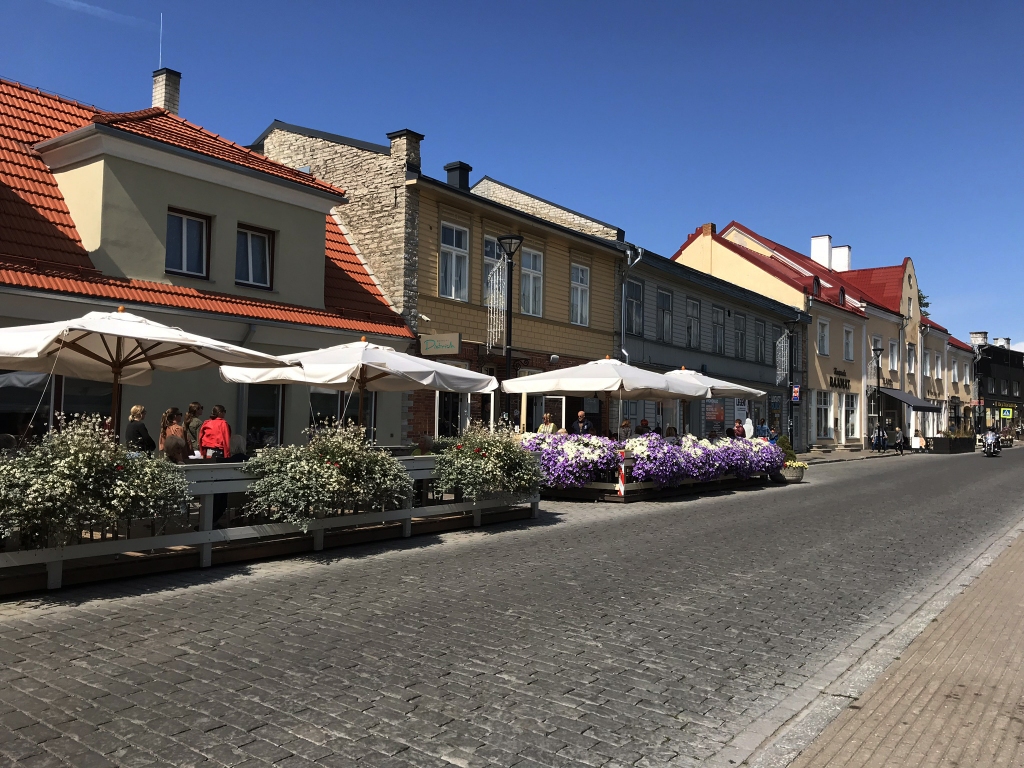 Hāpsalu ir brīnišķīga, mierīga un draudzīga pilsētiņa, ar šaurām ieliņām, miniatūru rātsnamu un romantiskām koka dzīvojamajām mājām. Tā atrodas mazāk nekā divu stundu brauciena attālumā no galvaspilsētas Tallinas. Tai ir sena spa kūrortu vietas vēsture. Kādreiz Hāpsalu bija Krievijas aristokrātu iecienīta atpūtas vieta. Mūsdienās pilsētā norisinās dažādi starptautiski festivāli un darbojas burvīgi restorāni.