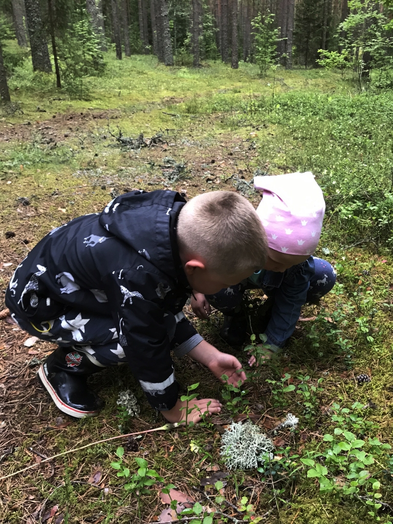 Papildus priekus bez meža velšu baudīšanas un meklēšanas sagādā pa ceļam sastaptie dzīvnieciņi. (Šoreiz mazs vardulēns.)
Autors: Ieva Kalniņa