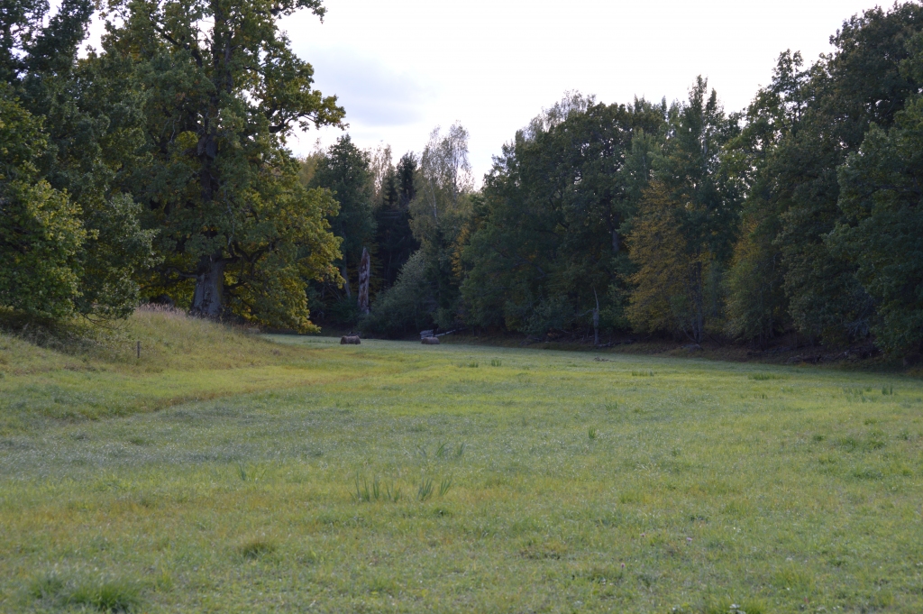 Valkas pagasta zemnieku saimniecības “Marsi” vērtība ir parkveida pļavas ar atsevišķi augošiem ozoliem. Šo platību apsaimniekošanā ir jāievēro vairāki nosacījumi, lai saglabātu dabas daudzveidību.